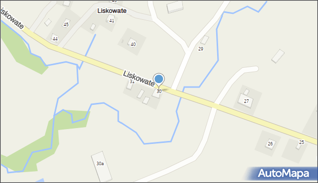 Liskowate, Liskowate, 30, mapa Liskowate