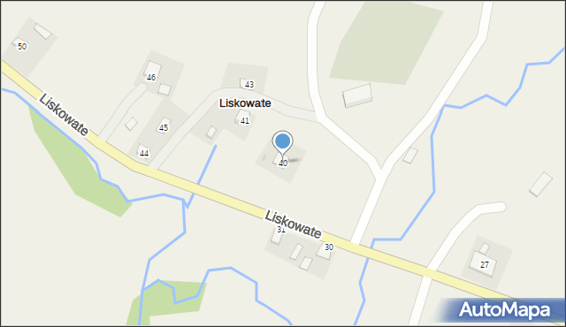 Liskowate, Liskowate, 40, mapa Liskowate