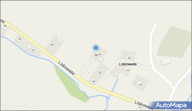 Liskowate, Liskowate, 46, mapa Liskowate