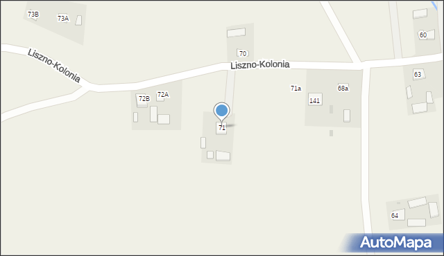 Liszno-Kolonia, Liszno-Kolonia, 71, mapa Liszno-Kolonia