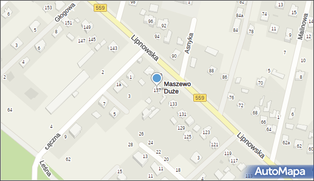 Maszewo Duże, Lipnowska, 137, mapa Maszewo Duże