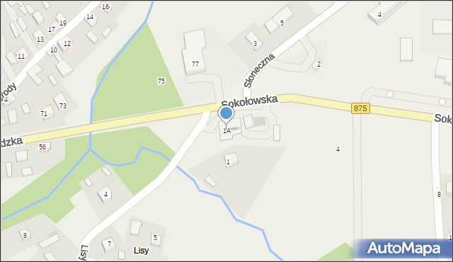 Raniżów, Lisy, 1A, mapa Raniżów