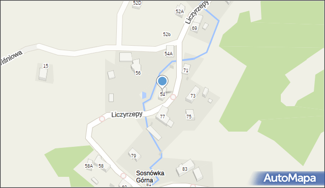 Sosnówka, Liczyrzepy, 54, mapa Sosnówka