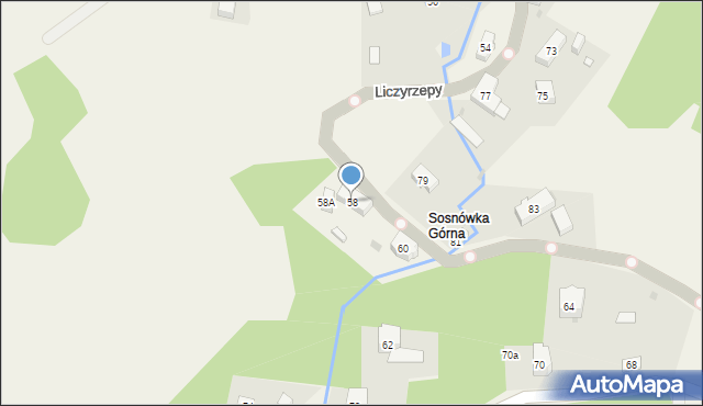 Sosnówka, Liczyrzepy, 58, mapa Sosnówka