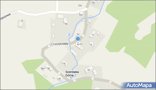 Sosnówka, Liczyrzepy, 77, mapa Sosnówka