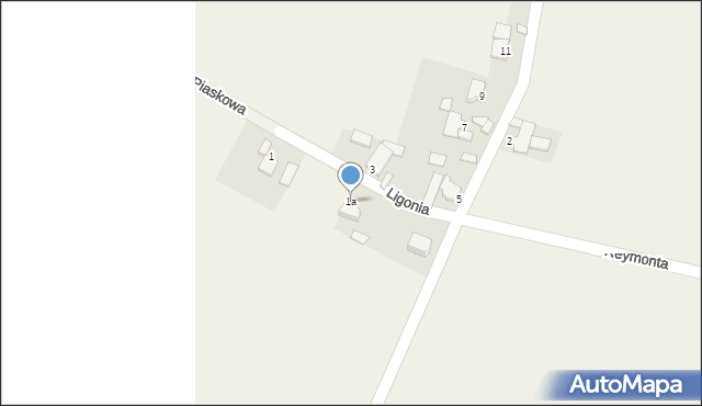 Suchodaniec, Ligonia, 1a, mapa Suchodaniec