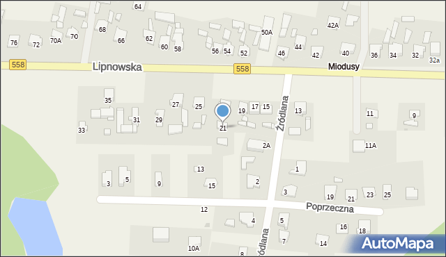 Wielgie, Lipnowska, 21, mapa Wielgie
