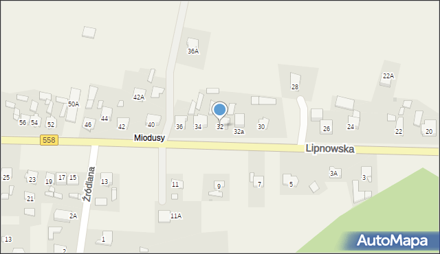 Wielgie, Lipnowska, 32, mapa Wielgie