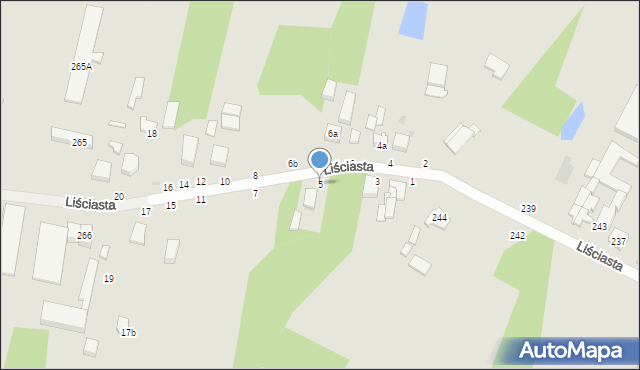 Zgierz, Liściasta, 5, mapa Zgierz