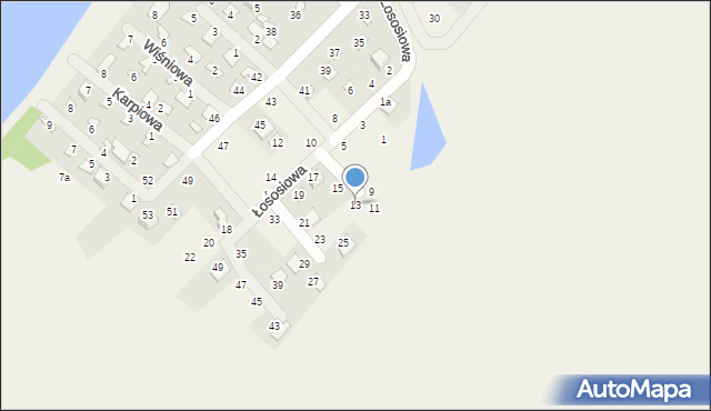 Borówno, Łososiowa, 13, mapa Borówno