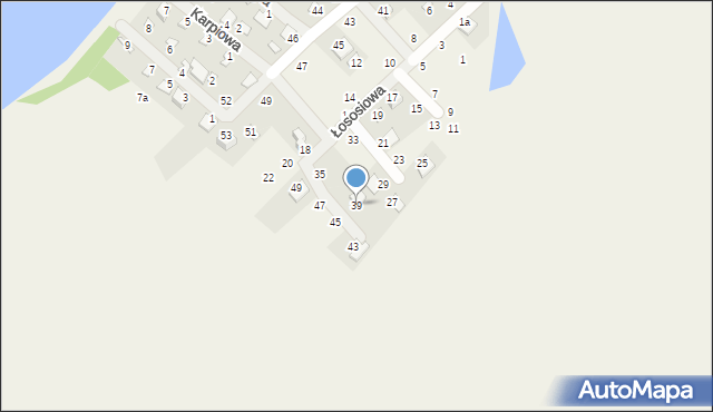 Borówno, Łososiowa, 39, mapa Borówno