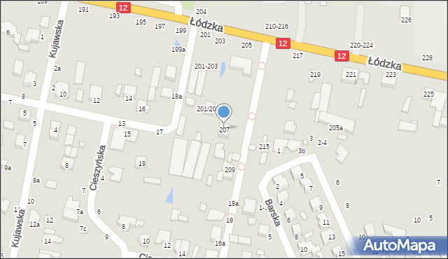 Kalisz, Łódzka, 207, mapa Kalisza