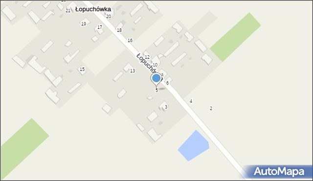 Łopuchówka, Łopuchówka, 5, mapa Łopuchówka