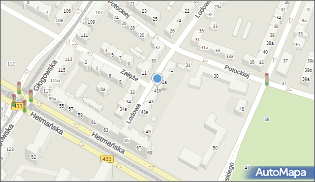 Poznań, Lodowa, 41b, mapa Poznania