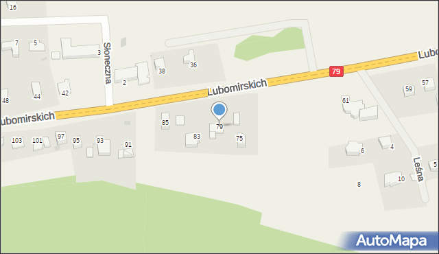 Kochanów, Lubomirskich, 79, mapa Kochanów