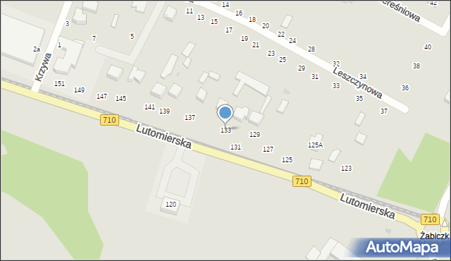 Konstantynów Łódzki, Lutomierska, 133, mapa Konstantynów Łódzki