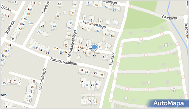 Poznań, Lumumby Patrice, 10, mapa Poznania