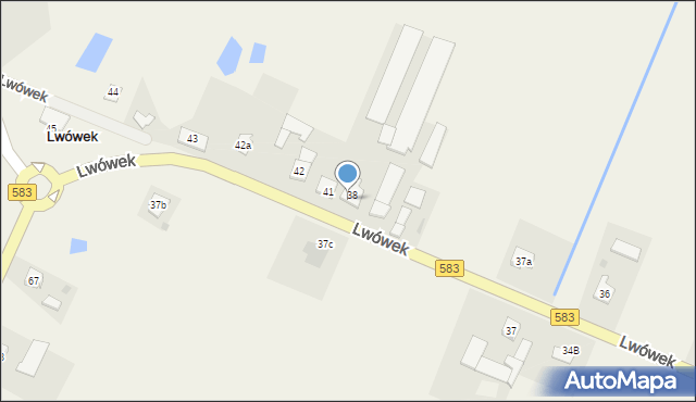 Lwówek, Lwówek, 40, mapa Lwówek