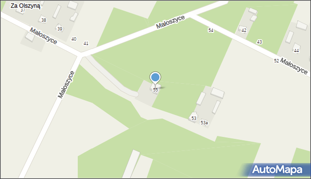 Małoszyce, Małoszyce, 55, mapa Małoszyce