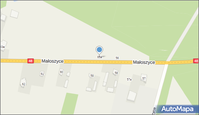 Małoszyce, Małoszyce, 65a, mapa Małoszyce