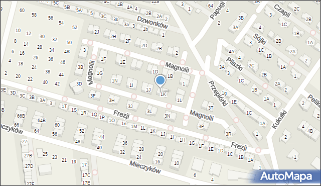 Nowa Wola, Magnolii, 1T, mapa Nowa Wola