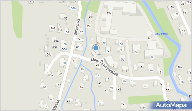 Zakopane, Małe Żywczańskie, 1, mapa Zakopanego