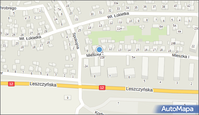 Gostyń, Mieszka I, 8A, mapa Gostyń