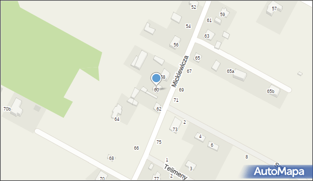 Janów, Mickiewicza Adama, 60, mapa Janów