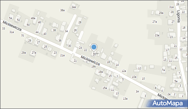 Kamień Śląski, Mickiewicza Adama, 20, mapa Kamień Śląski