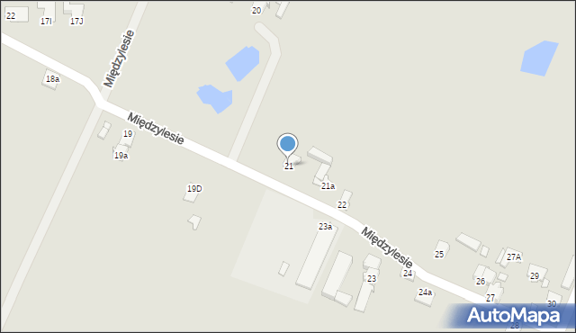 Konin, Międzylesie, 21, mapa Konina