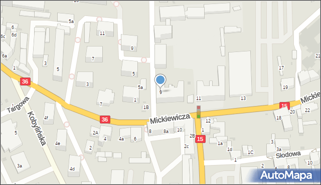 Krotoszyn, Mickiewicza Adama, 9, mapa Krotoszyna