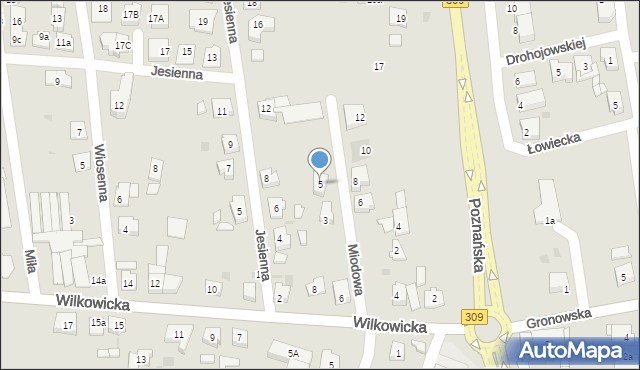 Leszno, Miodowa, 5, mapa Leszno