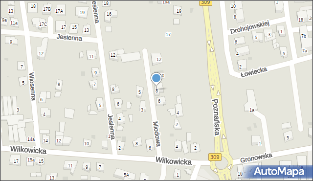 Leszno, Miodowa, 8, mapa Leszno