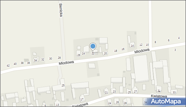Lutogniew, Miodowa, 22, mapa Lutogniew