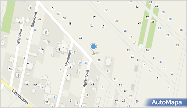 Maszewo Duże, Mickiewicza Adama, 40, mapa Maszewo Duże