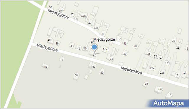 Międzygórze, Międzygórze, 37, mapa Międzygórze