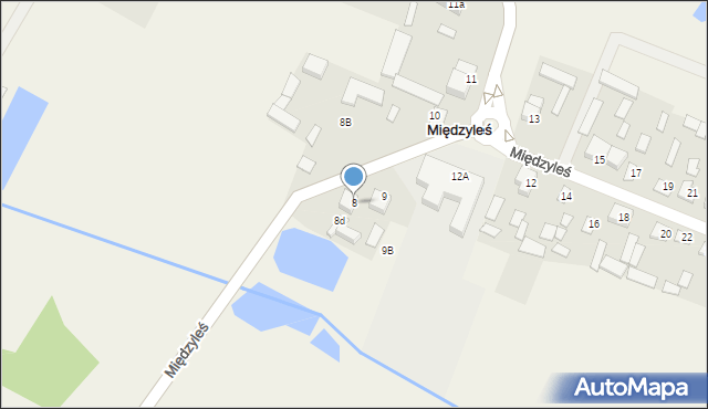 Międzyleś, Międzyleś, 8, mapa Międzyleś