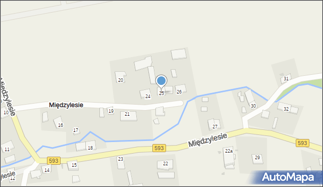 Międzylesie, Międzylesie, 25, mapa Międzylesie