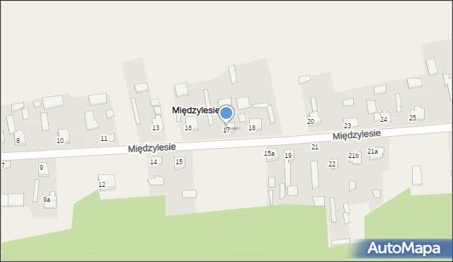 Międzylesie, Międzylesie, 17, mapa Międzylesie