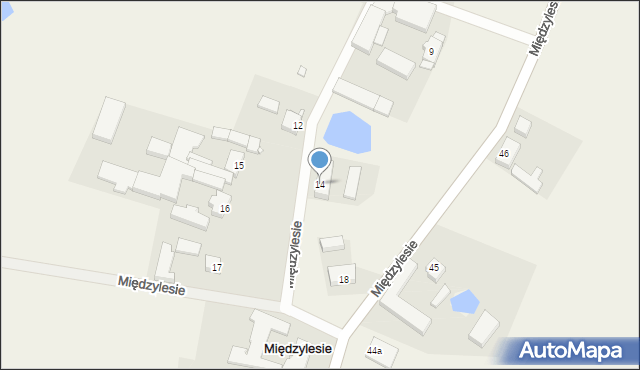 Międzylesie, Międzylesie, 14, mapa Międzylesie