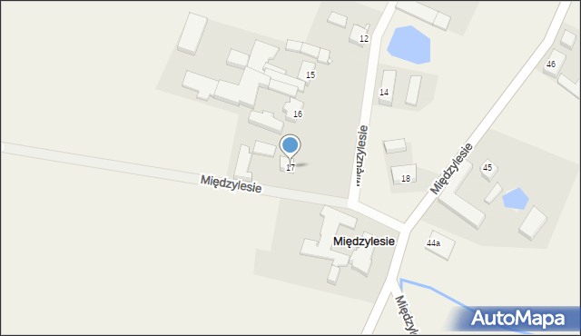 Międzylesie, Międzylesie, 17, mapa Międzylesie