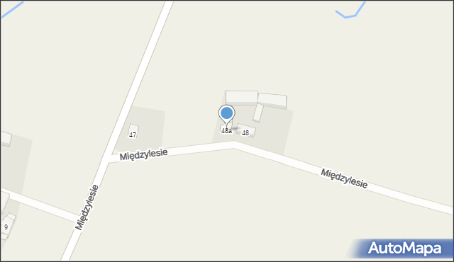 Międzylesie, Międzylesie, 48a, mapa Międzylesie