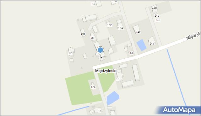 Międzylesie, Międzylesie, 15, mapa Międzylesie