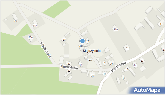 Międzylesie, Międzylesie, 25A, mapa Międzylesie