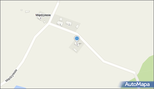 Międzylesie, Międzylesie, 1, mapa Międzylesie