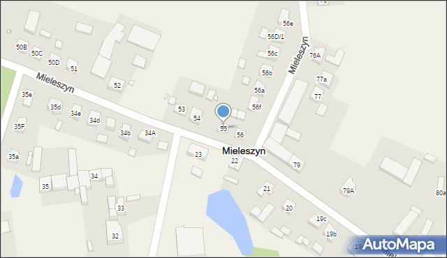 Mieleszyn, Mieleszyn, 55, mapa Mieleszyn