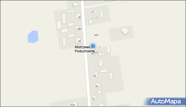 Mistrzewice, Mistrzewice, 44, mapa Mistrzewice