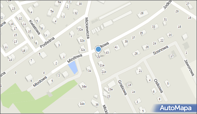 Nowogrodziec, Mickiewicza Adama, 21, mapa Nowogrodziec