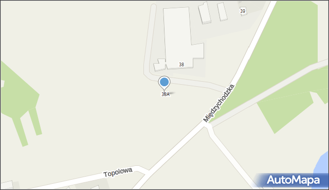 Pszczew, Międzychodzka, 38A, mapa Pszczew