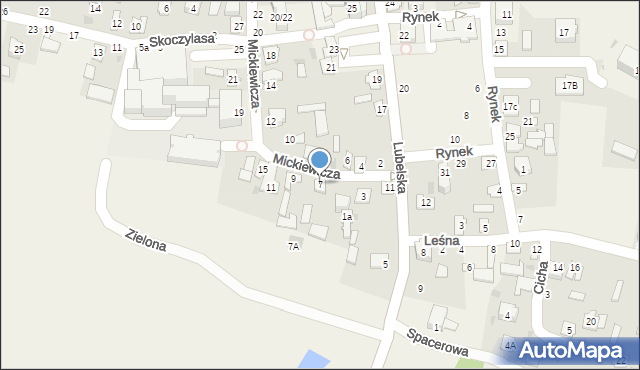 Puchaczów, Mickiewicza Adama, 7, mapa Puchaczów